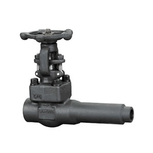 鍛鋼延長閥體閘閥EG8C4Y-K